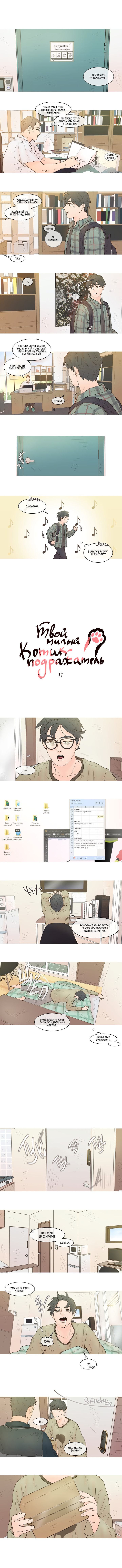 твой милый котик подражатель манга фото 5